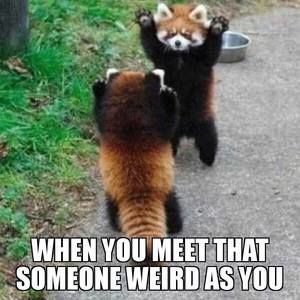 Meet your Posher, Todd